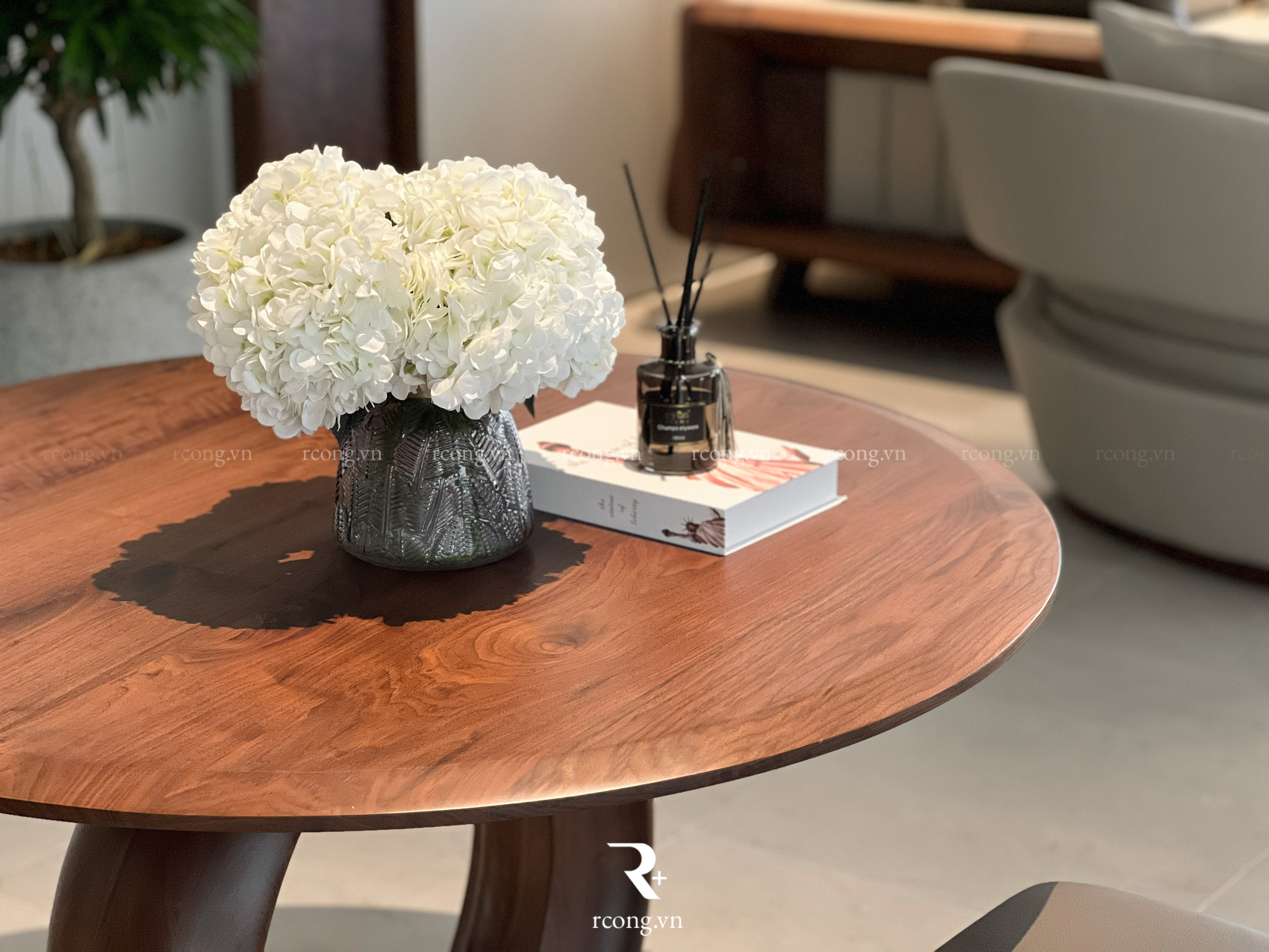 Showroom R Cộng – Chi Nhánh Sài Gòn